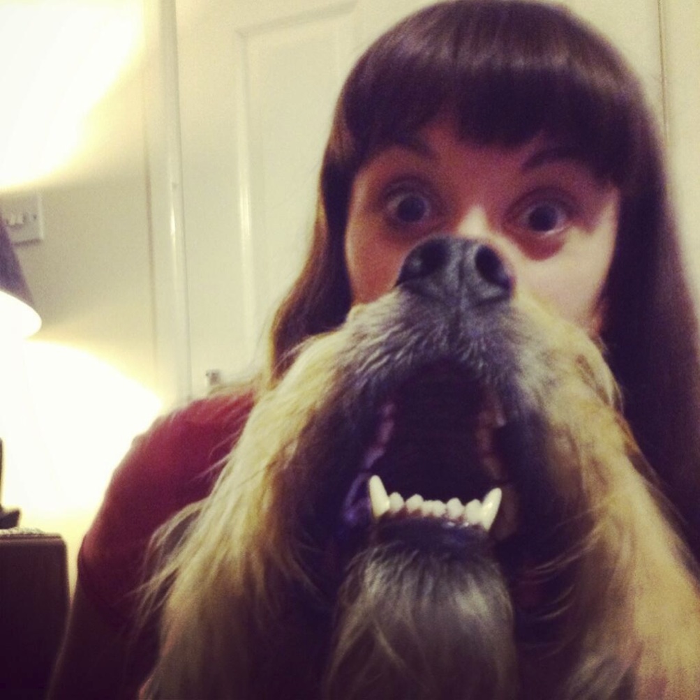 dog bearding